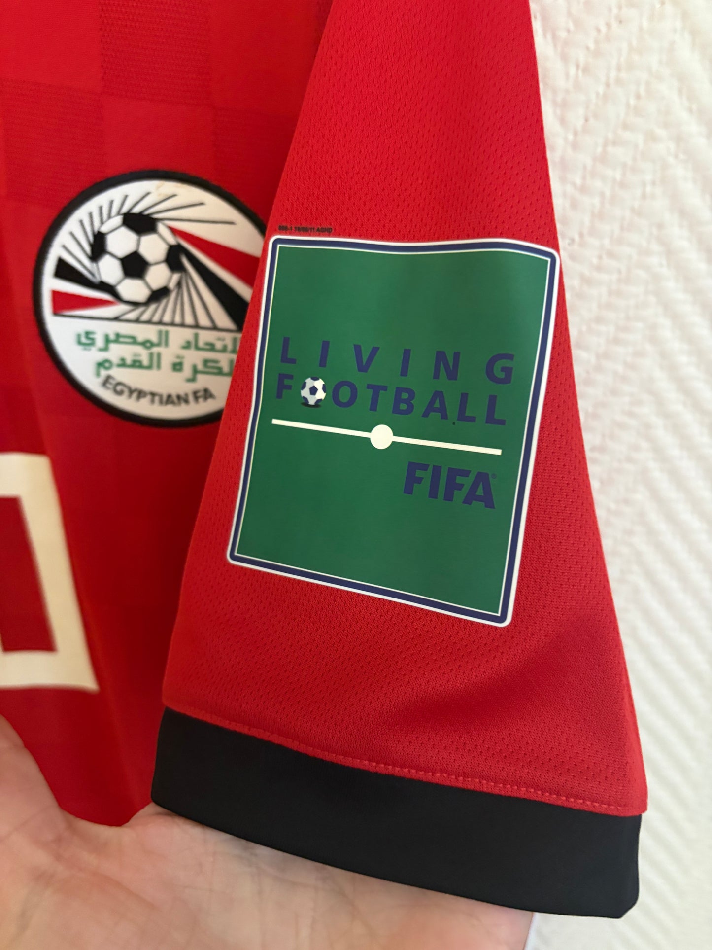 Egypt 2018/19 - M. Salah
