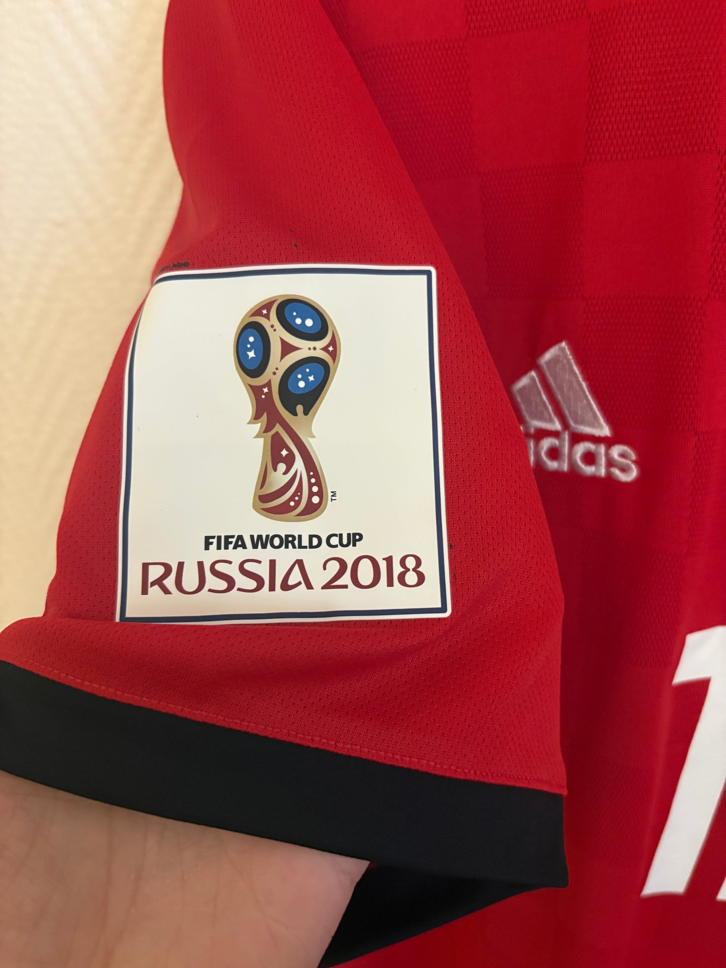 Egypt 2018/19 - M. Salah